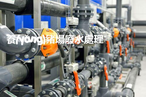 養(yǎng)豬場廢水處理視頻揭秘：環(huán)保新技術如何顛覆傳統(tǒng)處理方式？